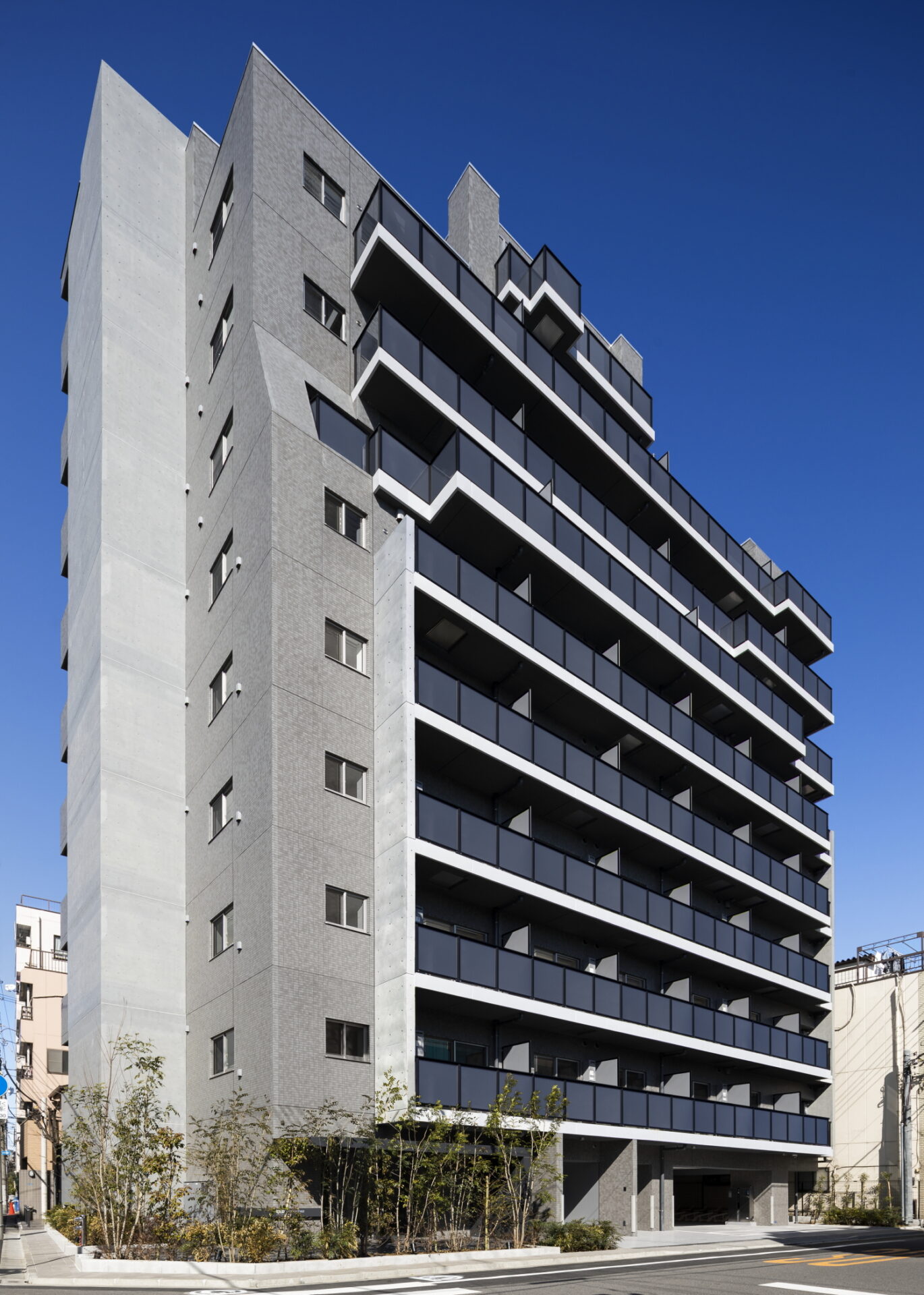 SYFORME MINOWA